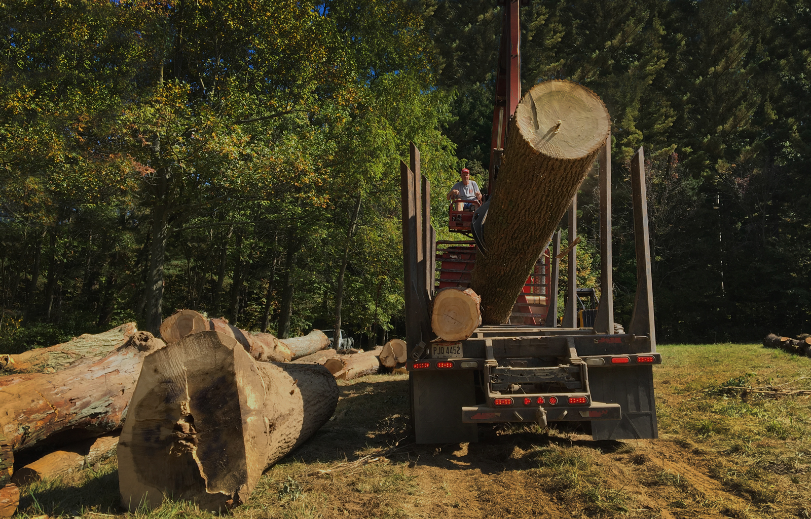 Our Story AJ Logging Your Trusted Timber Buyer for Ohio