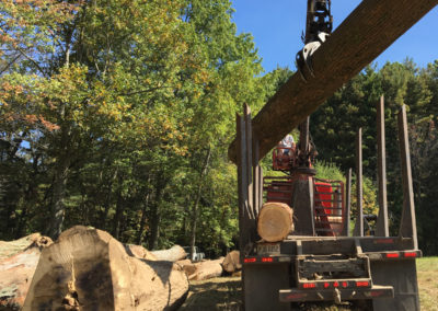 Truck loading large timber- AJ Logging