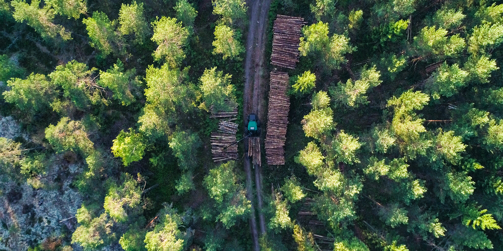 Woodland evaluation section with aerial view of logging road and stacked timber.