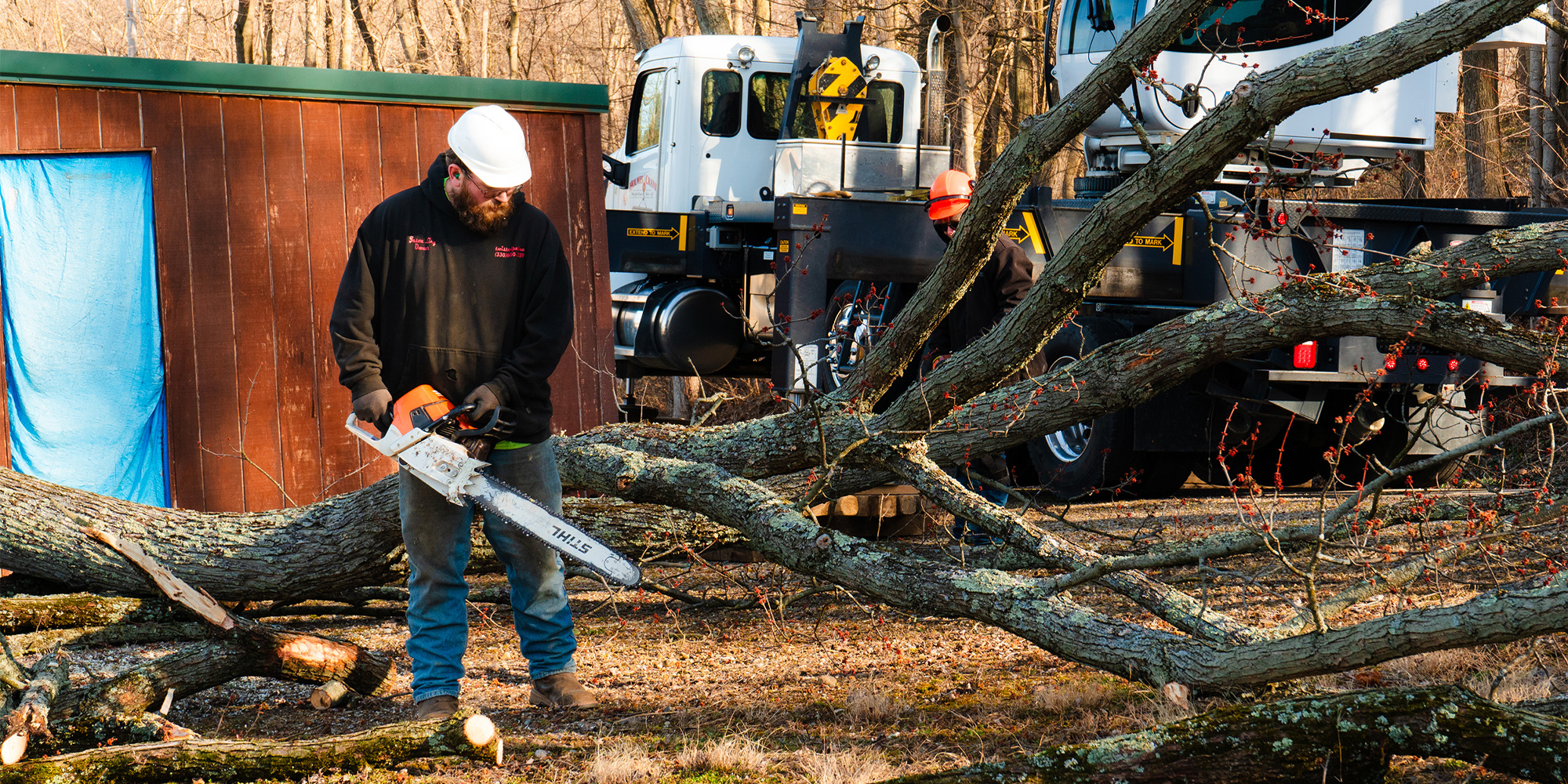 Timber stand improvement crew bucking downed trees with a chainsaw beside logging equipment.