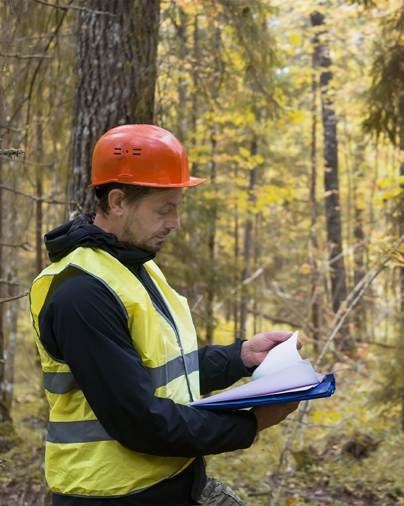 Woodland evaluation checklist page with forester reviewing notes in the woods.