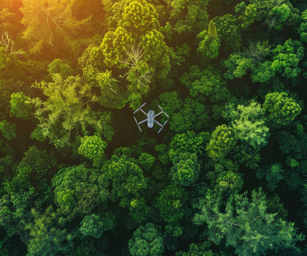 Drone over forest canopy for GIS remote sensing and forestry monitoring.