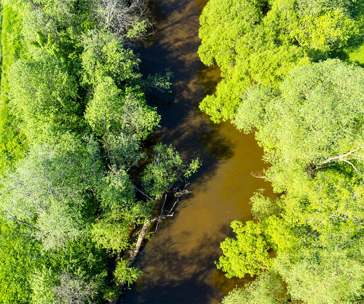 Aerial river through green forest for Family Forest Carbon Program and responsible woodland stewardship.