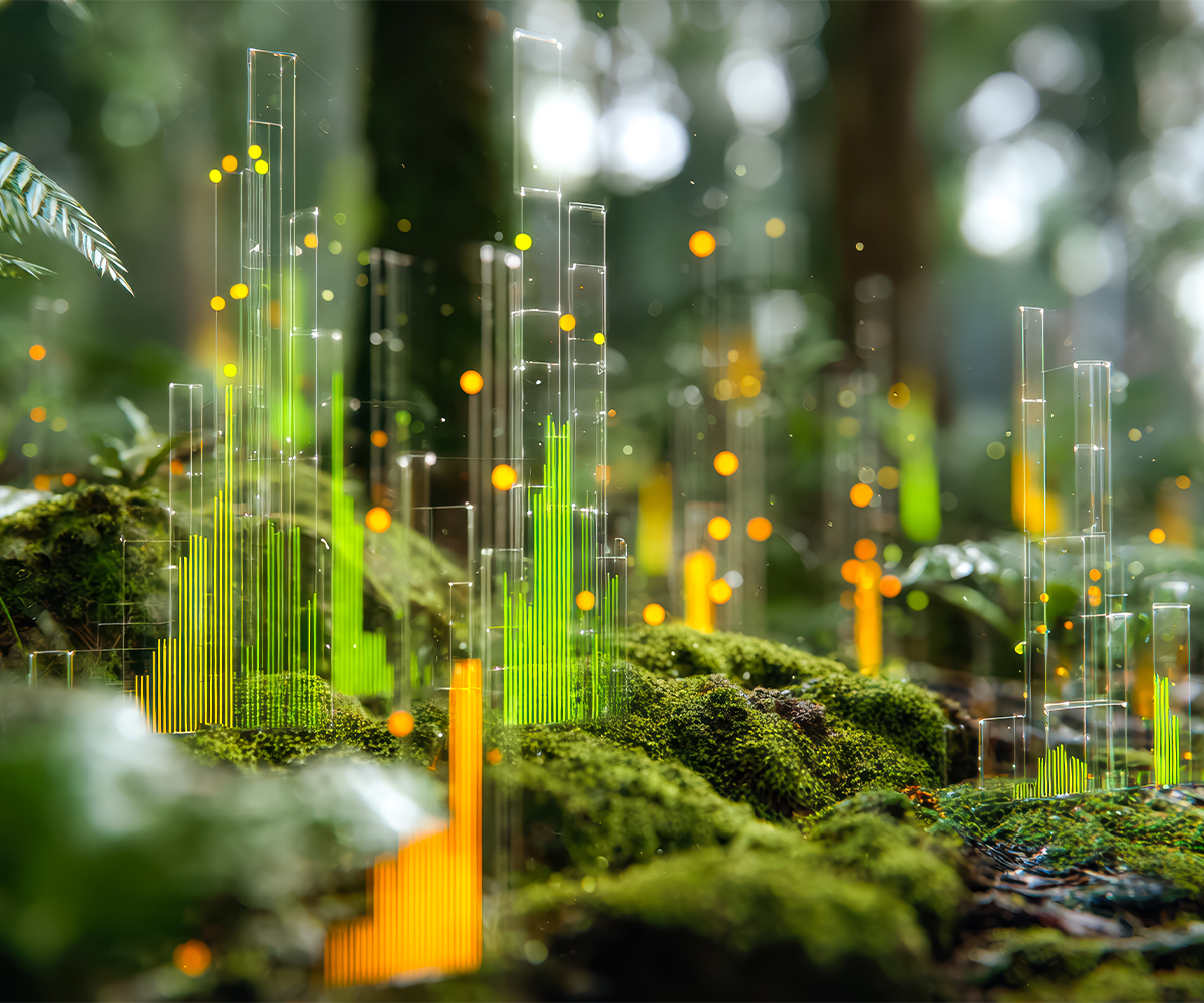 Forest floor with data overlays showing forest inventory and tree health assessment.