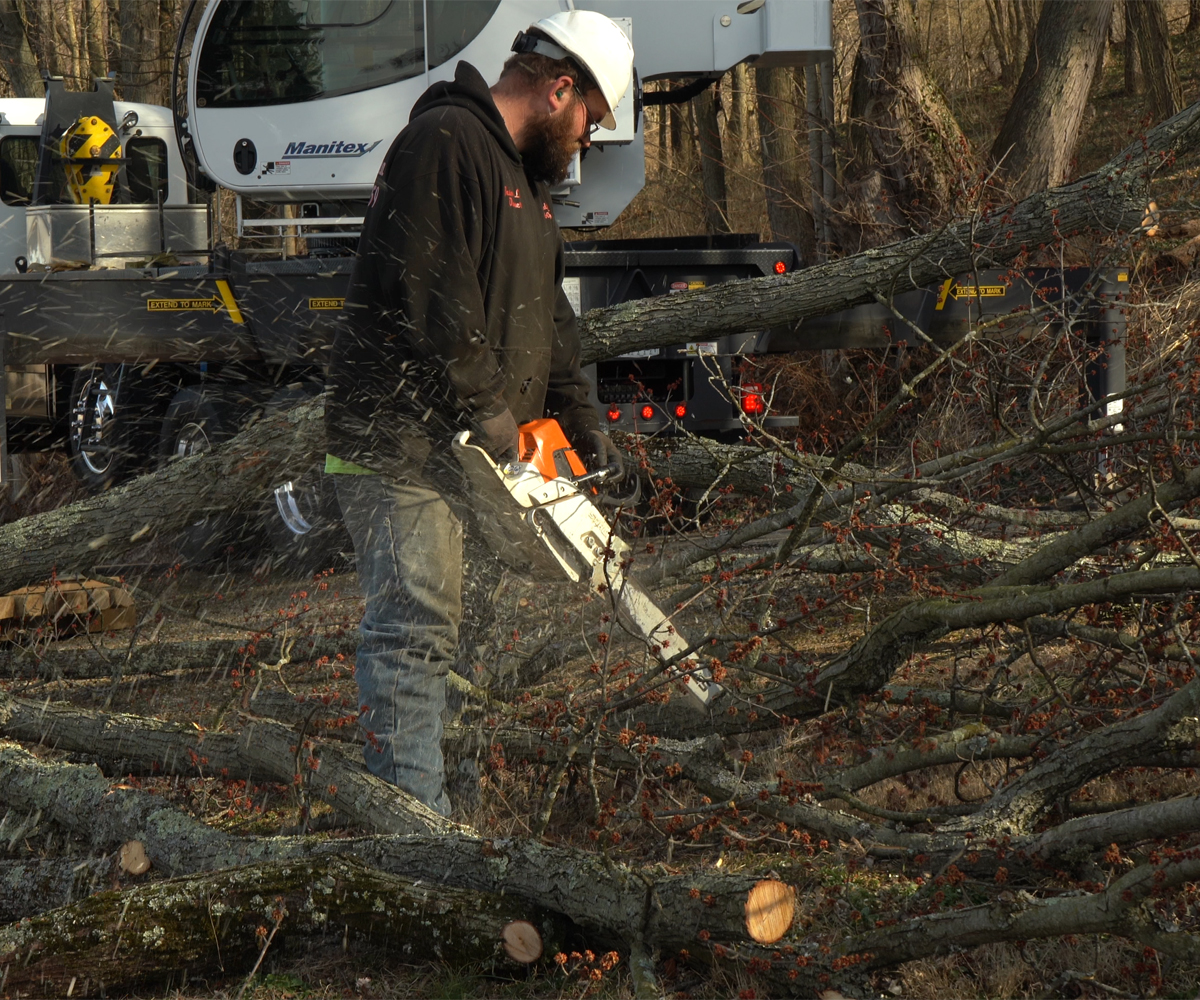Worker cutting fallen limbs during tree cleanup