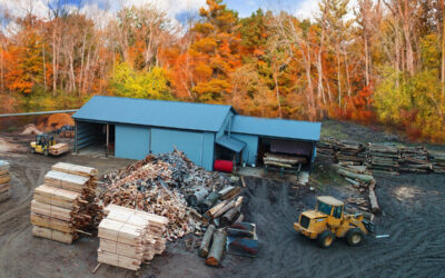 How AJ Logging Helps Ohio Landowners Care for Their Woods